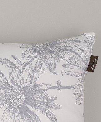 Terre-de-Coton-Daisy1